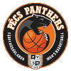PVSK Pannonpower Pecsi logo