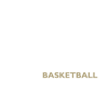 뉴캐슬 이글스 logo