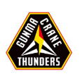군마 logo