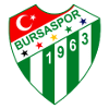부르사스포르 logo