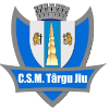 ACS Targu Jiu logo