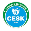 Cayirova logo