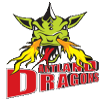 Artland Dragons logo