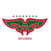Alletico Aguada logo