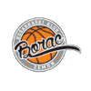 Borac Zemun logo