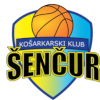 Sencur Cestno Podjetje Kranj logo