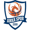 Istanbul Anka Spor logo