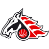 BK Pardubice logo