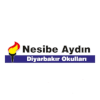 Nesibe Aydin (W) logo