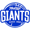 넬슨 자이언츠 logo