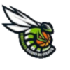 Libelulas (W) logo
