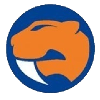 샌드링엄 세이버스 logo