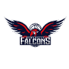 Newcastle Falcons (W)'s logo