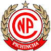 Pichincha Potosi logo