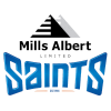 웰링턴 세인츠 logo