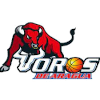 Toros de Aragua logo