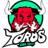 Toros del Valle logo