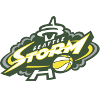 시애틀 스톰 logo