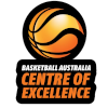 BA CoE logo