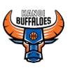 하노이 버팔로즈 logo