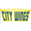 Hochiminh City Wings logo
