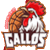 Gallos de Aguascalientes