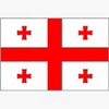 Georgia (W) logo