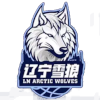 Liaoning (W) logo