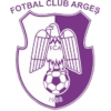 BCM Pitesti Arges logo