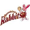 Toyota Rabbits (W) logo
