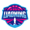 Liaoning ZhongDa (W) logo