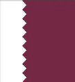 카타르 logo