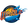 Sichuan logo