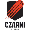 크자르니 슬루프스크 logo