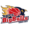 이와테 빅 불스 logo