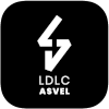 Lyon Asvel Villeurbanne logo