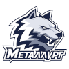 Metallurg Magnitogorsk logo