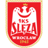 Sleza Wroclaw W logo