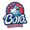 Bora logo