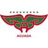 Alletico Aguada logo
