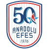 아나돌루 에페스 SK logo