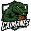 Caimanes del Llano logo