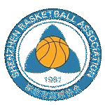 Shenzhen Basketball Team logo