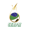 푸에르토 몬트 logo