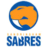 Sandringham Sabres (W) logo