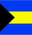 Bahamas (W) U17 logo