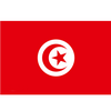 튀니지 logo