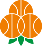 Umea BSKT logo