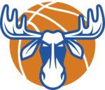 옘틀란드 logo