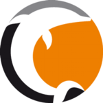 Norrkoping Dolphins (W) logo